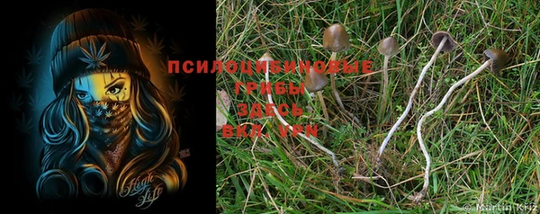мяу мяу мука Богородск
