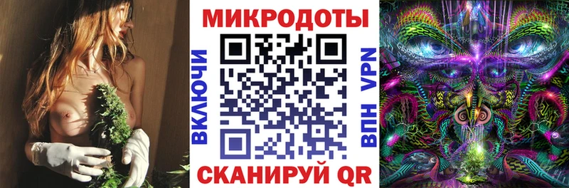 Псилоцибиновые грибы Psilocybine cubensis Вышний Волочёк