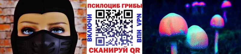 Галлюциногенные грибы прущие грибы Вышний Волочёк