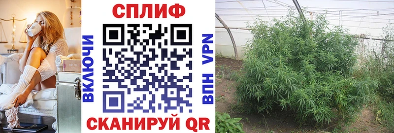darknet наркотические препараты  купить закладку  Вышний Волочёк  Марихуана тримм 